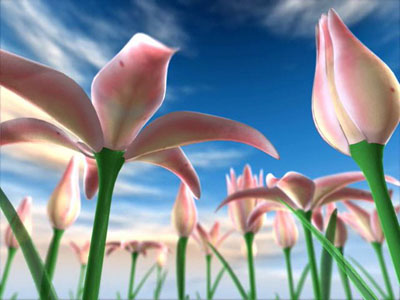 Flowers Meadow 3D Screensaver 1.0 screenshot