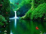 Free Waterfalls Screensaver - Green Waterfalls - Screenshot #1