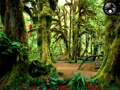 Tropical Birds Flight on Rainy Forest Screensaver   Tropical Forest Surprises With Realistic